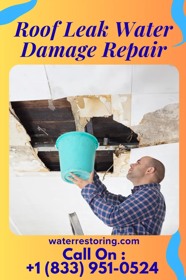 Roof Leak Water Damage Repair in Union Grove, WI