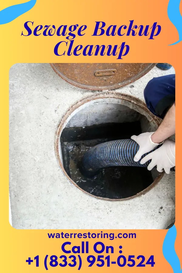Sewage Backup Cleanup in Union Grove, WI